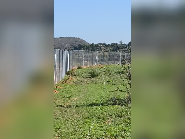 Unique Off-Grid Mountain Home With 360° Panoramic Views and Full Equestrian Facilities 