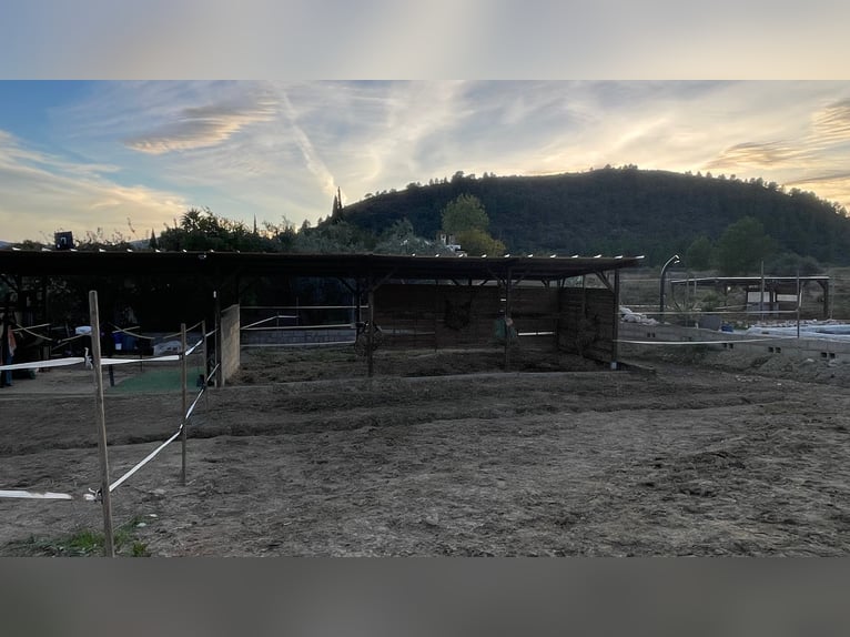 Unique Off-Grid Mountain Home With 360° Panoramic Views and Full Equestrian Facilities 