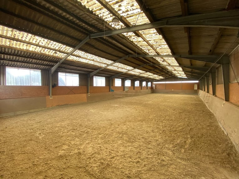 Vielseitige Reitanlage mit großzügigem Zweifamilienhaus in Hude (Landkreis Oldenburg)