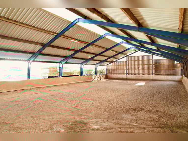 Vielseitiges Pferde- und Wohnensemble mit Ausbaupotenzial - Ideal für Tierklinik, Reitanlage uvm.