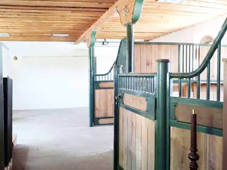 Vierspänner zu Hause: 7 ha Pferdeanwesen mit 4 Boxen, Platz für 4 Kutschen, Weiden, Wald & See inkl.