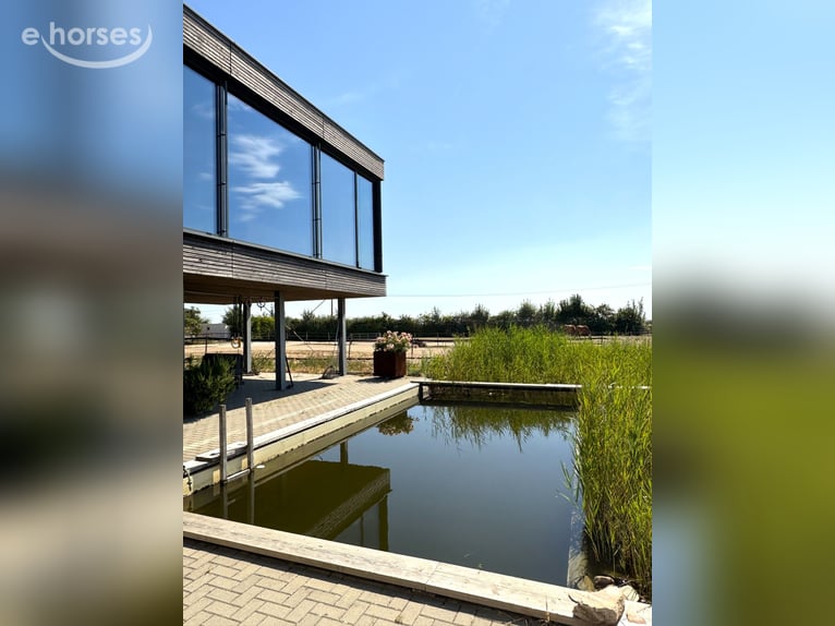 Villa in moderner Architektursprache mit 60m Reithalle & innovativem Haltungskonzept V14935