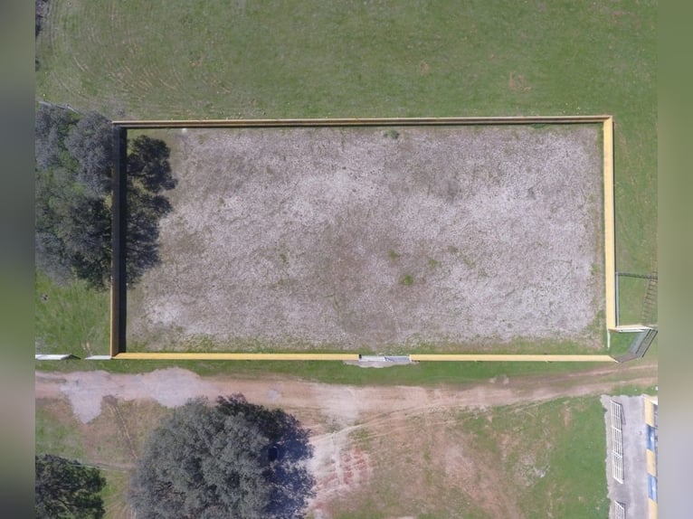 Voll ausgestattete Pferdefinca – 24 ha – Cáceres