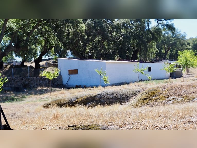 Voll ausgestattetes Landhaus mit Swimmingpool