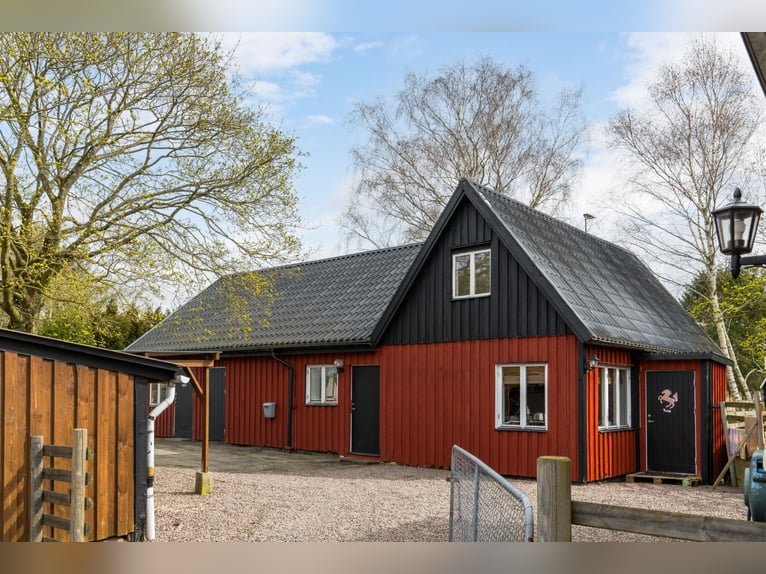 Welcome to this unique and thoughtfully designed equestrian property in Sweden 7,2 ha