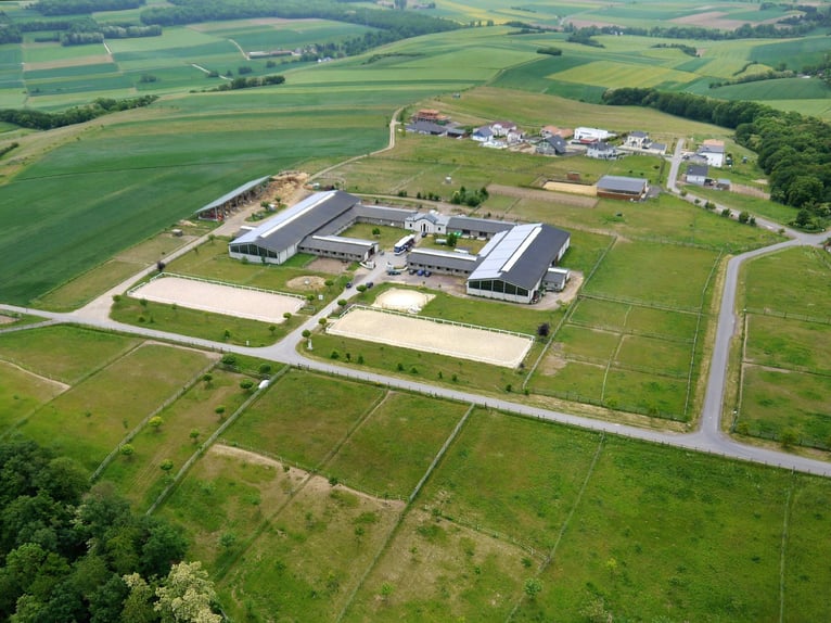 Wohnen,  Leben mit Pferden in Rheinlandpfalz im schönen Maifeld in einen einzigartigen  Wohngebiet