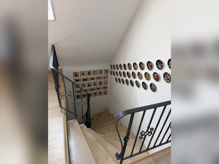 Wohnen mit Pferd in einem schönen Einfamilenhaus mit 6000 qm Wiese und Kleiner 150qm Halle