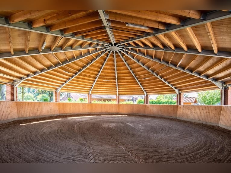 Wohnen & Reiten perfekt vereint: Ihr exklusives Reitdomizil in Top-Lage