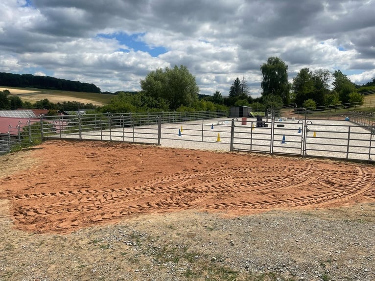 Wohnhaus (3 WE) mit Offen/Boxen-Stall/Paddock Trail, Reitplatz, Werkstatthalle, PV - SOFORT frei