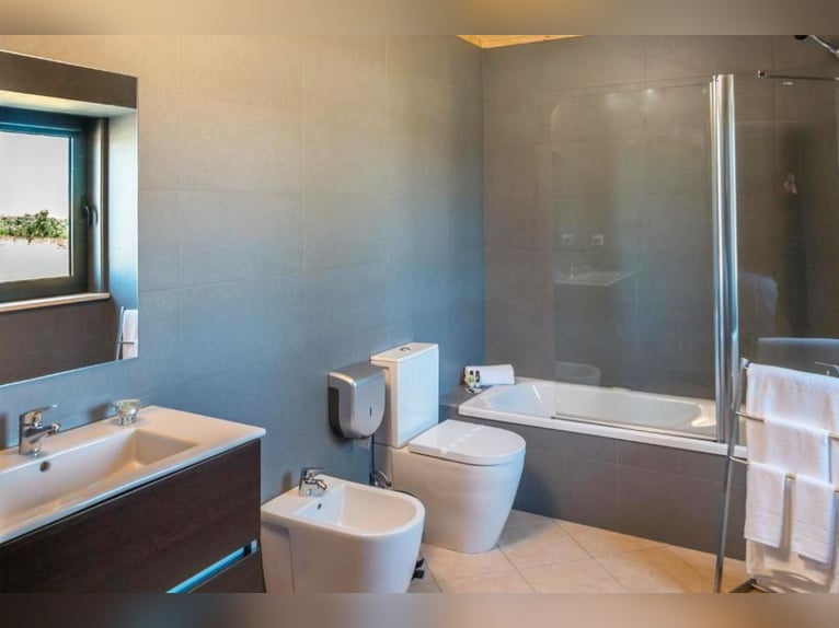 Wunderschliches Anwesen mit Weinbergen und Unterkünften für den Weintourismus.