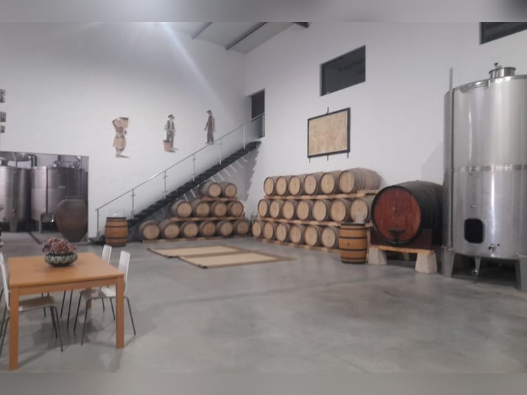 Wunderschliches Anwesen mit Weinbergen und Unterkünften für den Weintourismus.