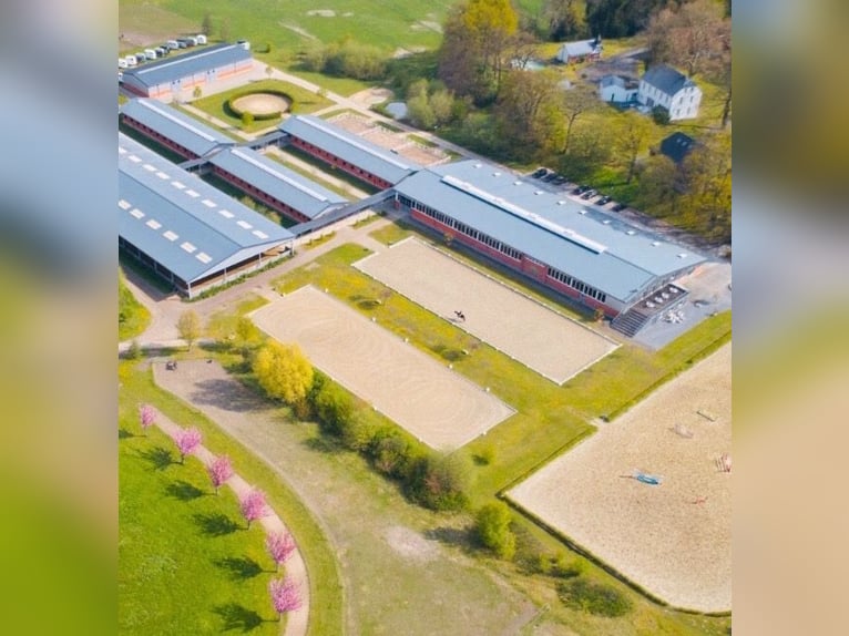 Wunderschöner Stalltrakt auf fünf-Sterne Reitsportanlage Gut Hohenkamp zu vermieten