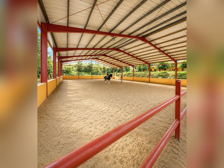 Wunderschönes Reitzentrum in Valencia (Costa Blanca)
