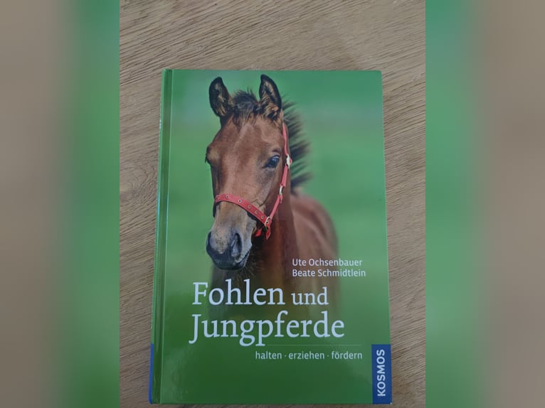 Buch Fohlen und Jungpferde Buch Fohlen und Jungpferde