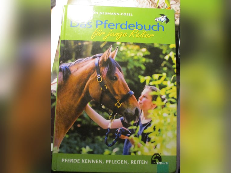 Das Pferdebuch für junge Reiter