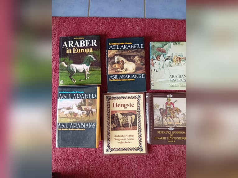 Diverse seltene Bücher und Standardwerke zu Vollblutarabern