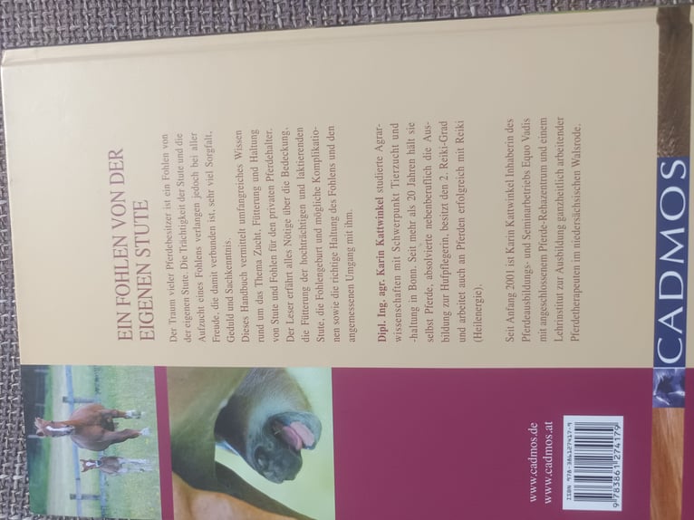 Ein Fohlen von der eigenen Stute
