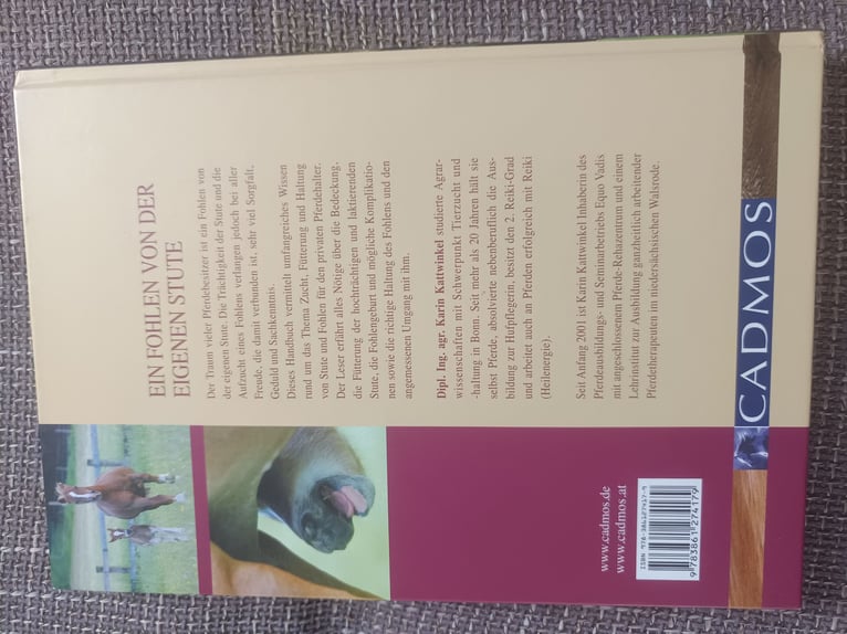 Ein Fohlen von der eigenen Stute
