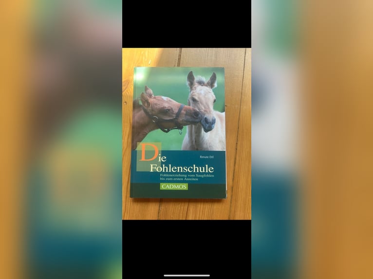 Fohlenschule Sehr Gut  Fohlenschule Sehr Gut