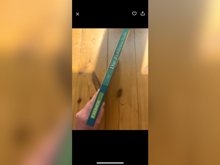 Fohlenschule Sehr Gut  Fohlenschule Sehr Gut