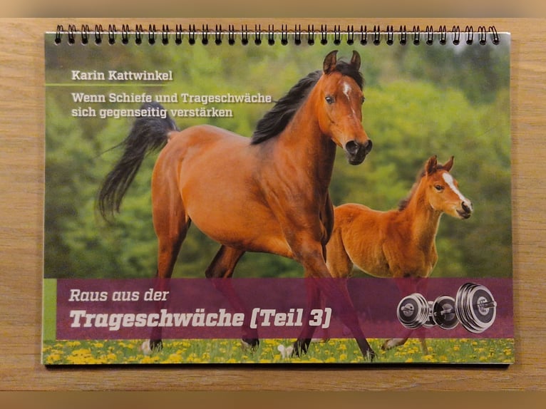 Karin Kattwinkel Raus aus der Trageschwäche Hybrid-Wandkalender Teil 3