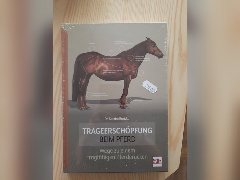 Trageerschöpfung, Sandra Ruzicka Trageerschöpfung, Sandra Ruzicka