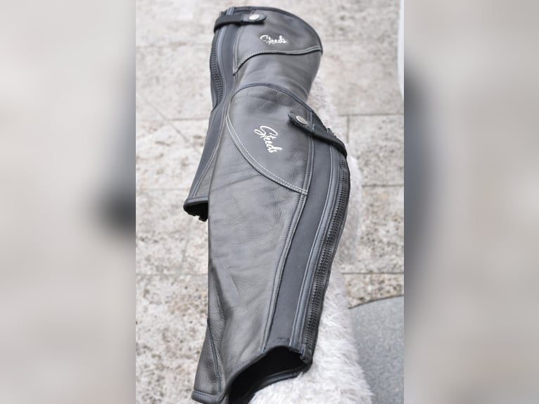 Chaps Evolution Größe L