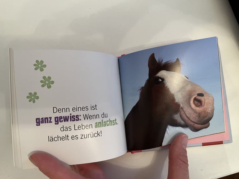 Büchlein "Das Leben ist (k)ein Ponyhof"