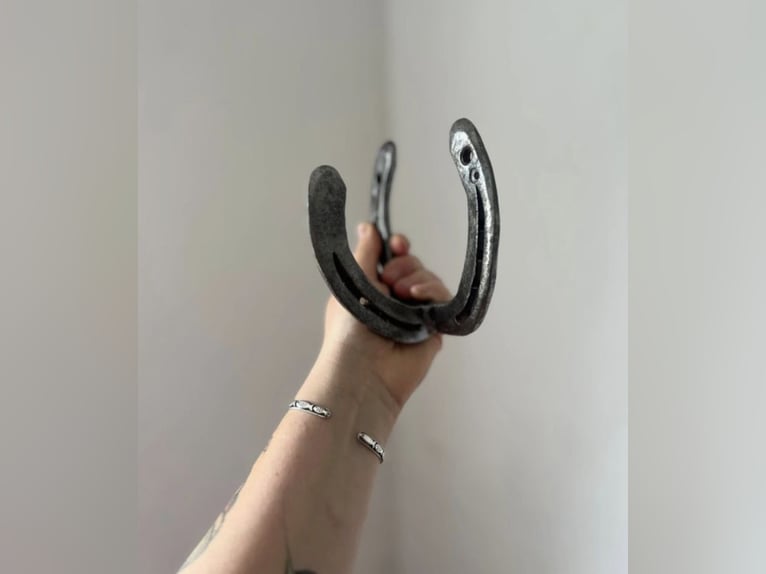 Garderobenhaken, Halfter-Halter
