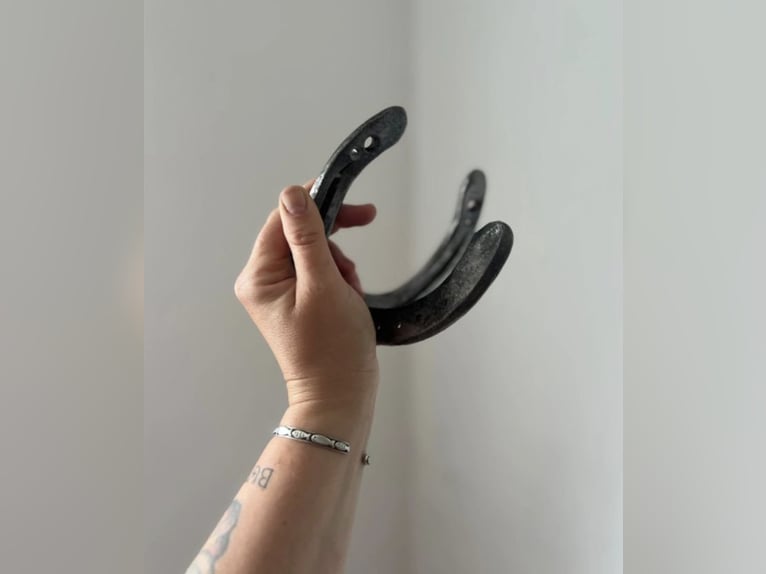 Garderobenhaken, Halfter-Halter