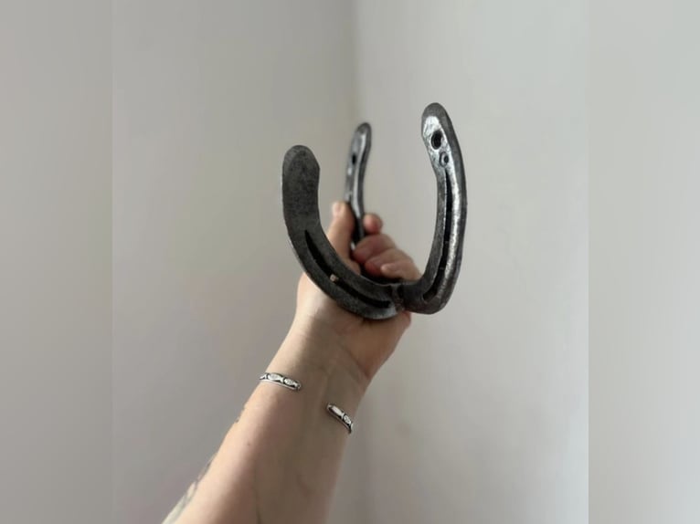 Garderobenhaken, Halfter-Halter