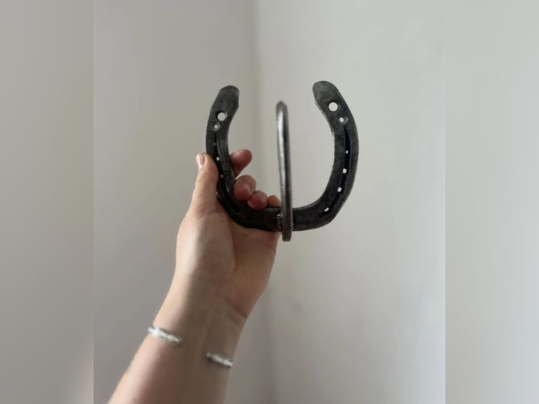 Garderobenhaken, Halfter-Halter
