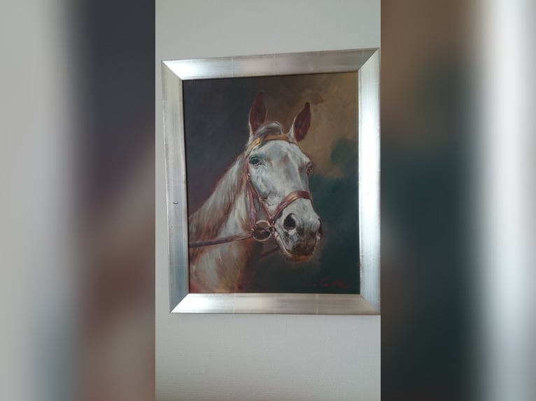 Ölgemälde Pferdekopf Ölgemälde Pferdekopf