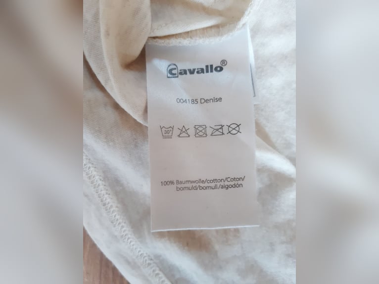 Cavallo t-shirt 