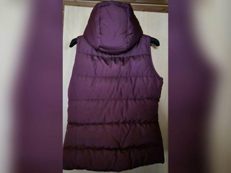 Damen Reitweste Gr. M