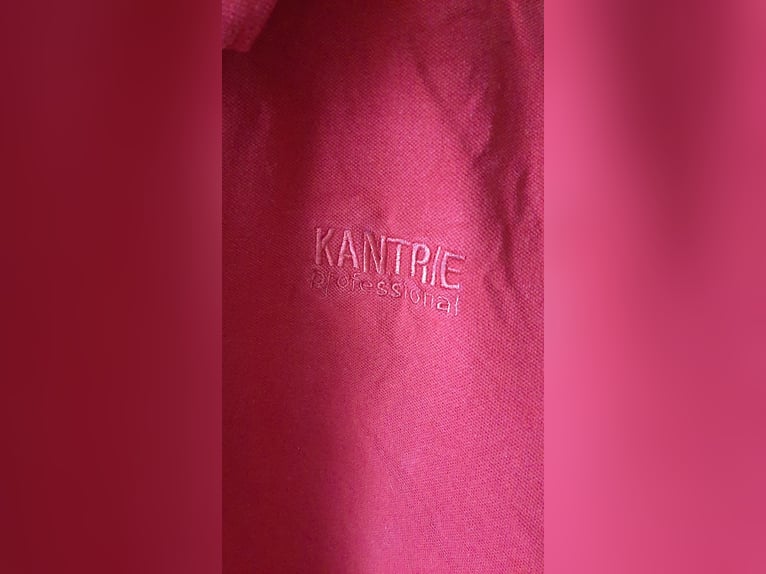Kantrie Polo – Shirt rot Gr. XL