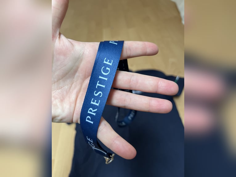 Prestige Italia Poloshirt & Schlüsselband - NEU