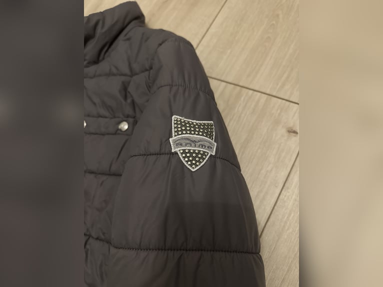 Animo Jacke Grau D36 Nieten