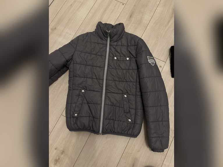 Animo Jacke Grau D36 Nieten