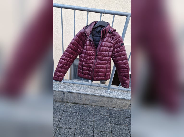 Pikeur Jacke Gr.36 bordeaux