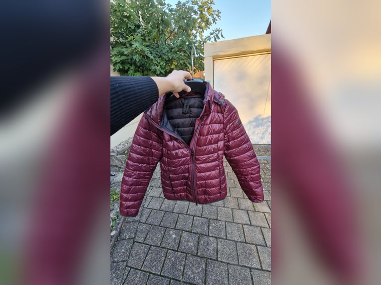 Pikeur Jacke Gr.36 bordeaux