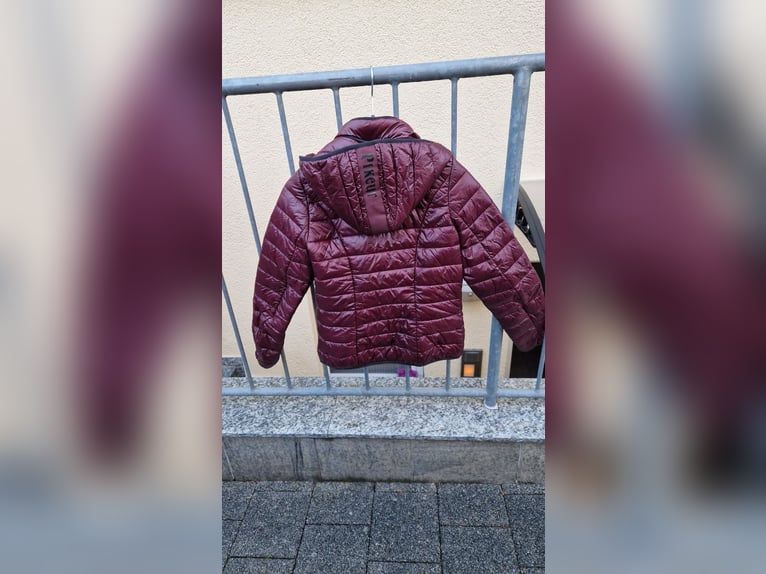 Pikeur Jacke Gr.36 bordeaux