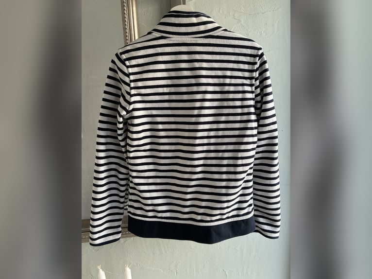 Reitjacke, HV Polo, Größe M/38, blau Samt, blau- weiß gestreift, neuwertig 