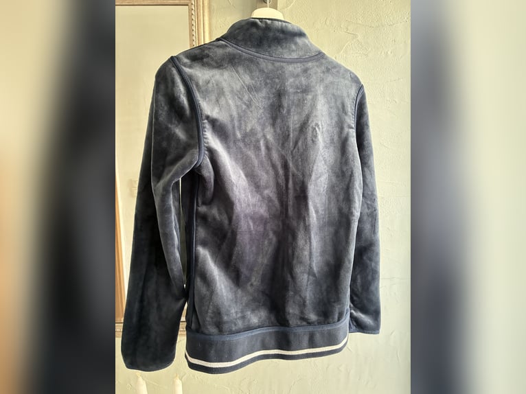 Reitjacke, HV Polo, Größe M/38, blau Samt, blau- weiß gestreift, neuwertig 