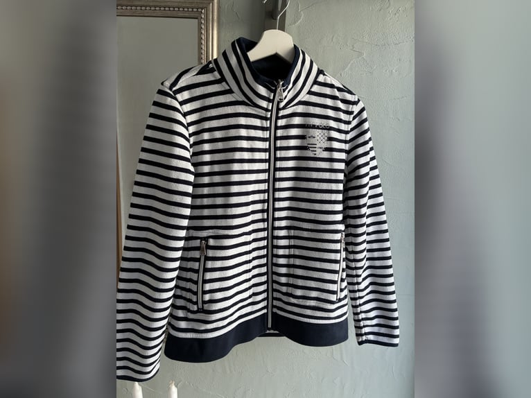 Reitjacke, HV Polo, Größe M/38, blau Samt, blau- weiß gestreift, neuwertig 