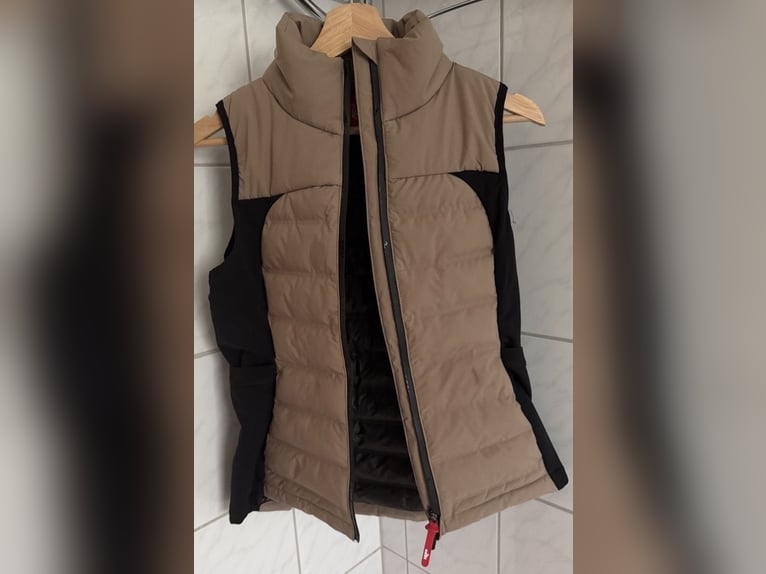 EaSt Performance Insulation Vest - almond Damen Weste Reitweste Steppweste Reiten Airbagweste