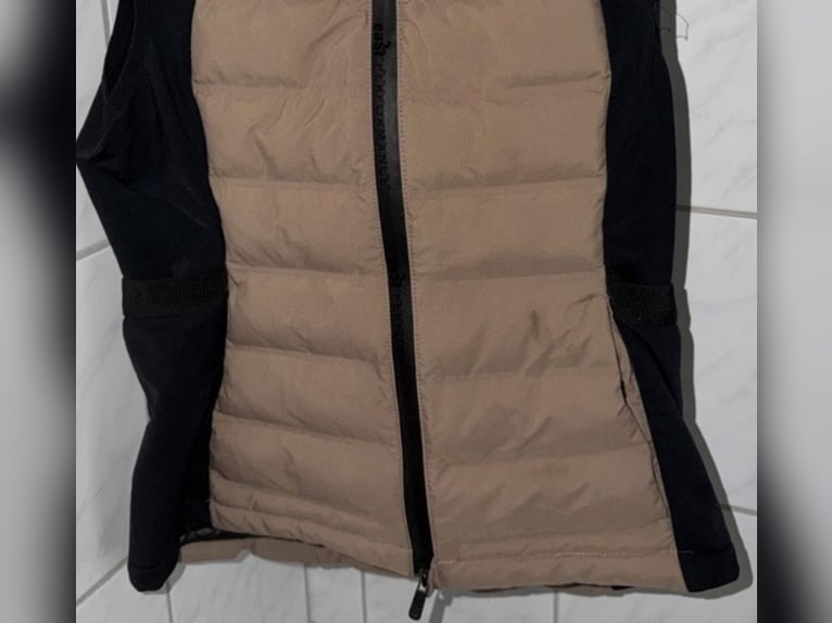 EaSt Performance Insulation Vest - almond Damen Weste Reitweste Steppweste Reiten Airbagweste