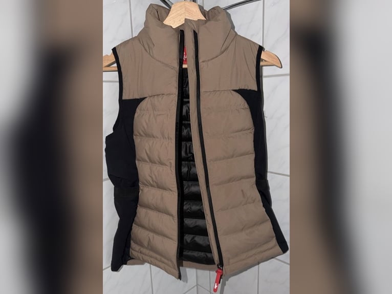 EaSt Performance Insulation Vest - almond Damen Weste Reitweste Steppweste Reiten Airbagweste
