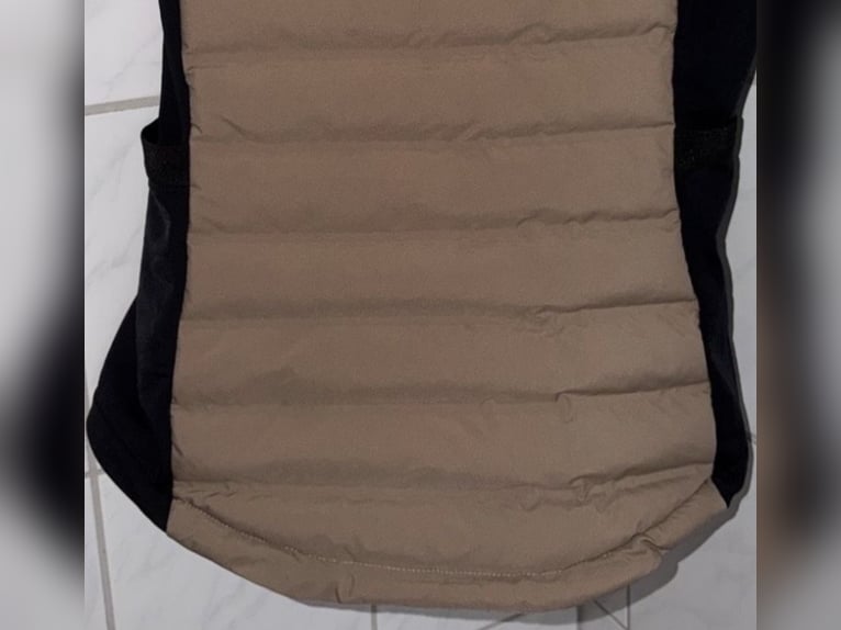 EaSt Performance Insulation Vest - almond Damen Weste Reitweste Steppweste Reiten Airbagweste