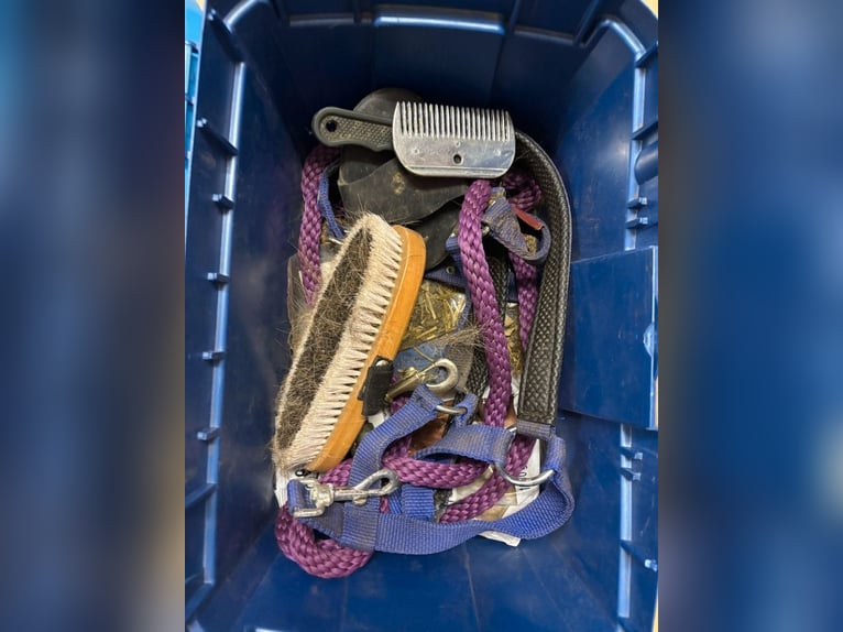 2 Pferdeboxen mit Inhalt